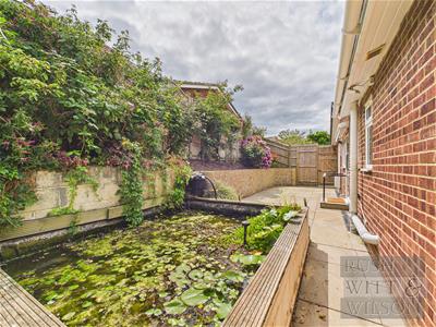 Picture 21